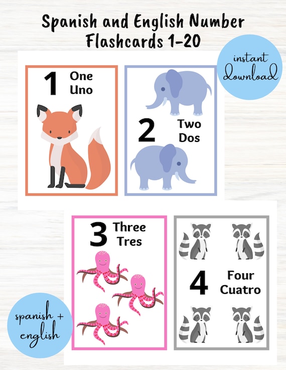 The Best Bilingual Numbers Flashcards – FUN FLASHCARDS CO