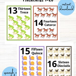 May include: Educational flashcards for learning numbers in Spanish and English. The cards feature numbers 13, 14, 15, and 16, with corresponding words in both languages. Each card has a different illustration, including frogs, horses, snails, and pugs.