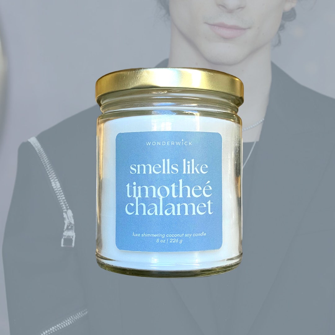 Smells Like Timothée Chalamet Candle Soy Wax Candle Scented Candle Pop