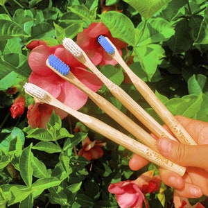 Premium Bamboo Toothbrush- 4 Pack + BONUS 2 FREE TOOTHBRUSHES | Soft Plant-Based Bristles | Biodegradable | Eco-Friendly