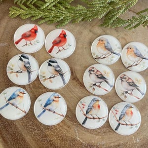 Bird Beading Cardinal Chickadee Epoxy 1” Sticker Cabs