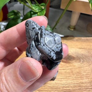 Peut inclure: Une figurine de tortue en pierre sculptée dans les tons de gris et de noir. La tortue a une carapace et une tête détaillées, avec des motifs blancs en forme de flocons de neige dans toute la pierre. La figurine est tenue dans une main.