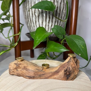 May include: A rustic wooden incense holder featuring three brass-toned metal receptacles. The holder is crafted from a piece of natural wood, highlighting its unique grain and texture. A plant and decorative pot are visible in the background.