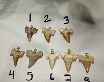 Beautiful and unique shark tooth pendant - wire wrapped - gift idea - necklace - pendants - shark teeth
