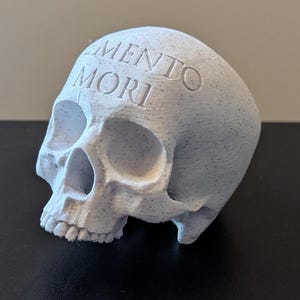 Memento Mori-skalle Stoicismdekor | Stoicismgåva | Minns döden | Stoisk dekoration | Heminredning | Skrivbordsdekor | Kontorsdekor bild 1