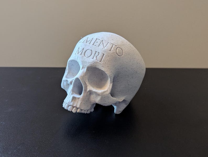 Memento Mori-skalle Stoicismdekor | Stoicismgåva | Minns döden | Stoisk dekoration | Heminredning | Skrivbordsdekor | Kontorsdekor bild 1