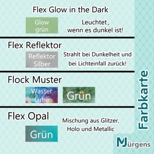 Schriftzug zum Aufbügeln mit Verzierungen Flex Flock Glitzer uvm. personalisiert Wunschtext Bügelname Bügelbild Bügelfolie Bild 10