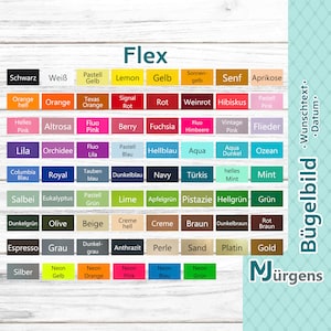 Könnte beinhalten: Eine Farbkarte mit dem Wort "Flex" oben. Die Karte zeigt eine Vielzahl von Farben, darunter Schwarz, Weiß, Orange, Rot, Pink, Blau, Grün, Braun und Grau. Die Farben sind in Reihen und Spalten angeordnet, wobei jede Farbe mit ihrem Namen in Deutsch beschriftet ist.