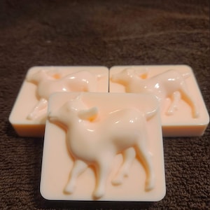 Homemade, Bergamot scented, fun goat milk goat mold soaps!