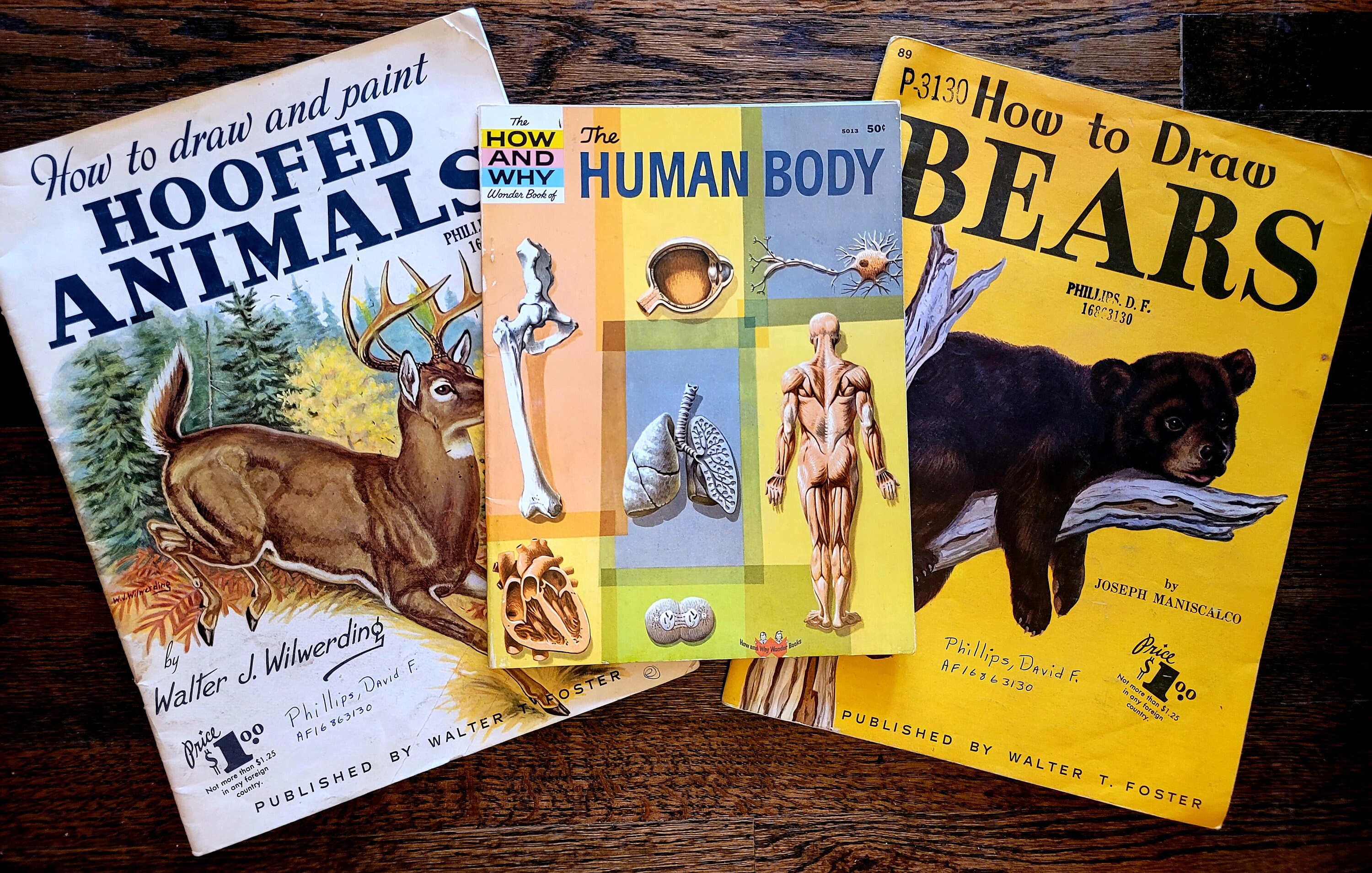 Three Original 1960s Books How to Draw Animals and the Human - Etsy