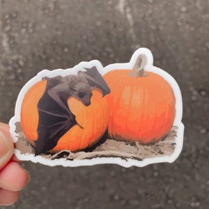 Pumpkin Bat Sticker | Spooky Sticker