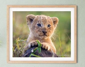 Lion Cub Nursery Print | Baby Lion | Nature Prints Kids | Lion Cub Wall Art | Safari Kids Room | Safari Nursery | Scandinavian Nursery Art
