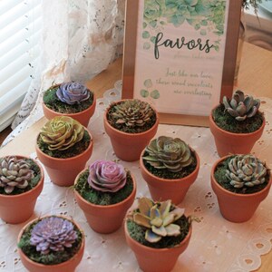May include: A sign that reads "favors please take one" with a watercolor design of succulents.  The sign is sitting on a table with a white lace tablecloth.  There are 10 small terracotta pots with faux succulents arranged on the table.