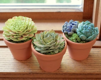 Wood Flower Succulent in terra cotta clay pot Everlasting Father's Day Gift hand painted Mini plant Free personalized card included