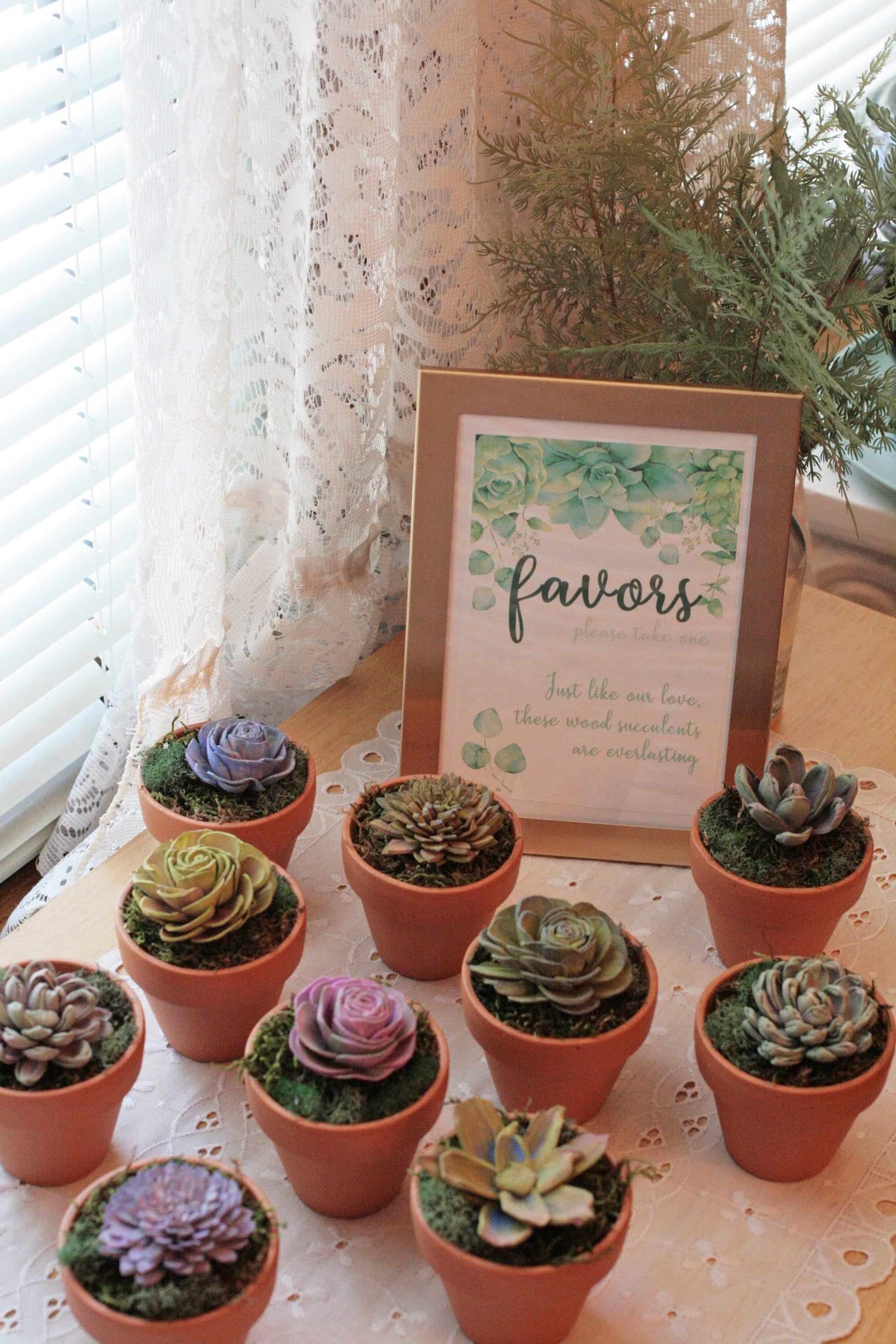 Sola Wood Succulent Wedding Favors