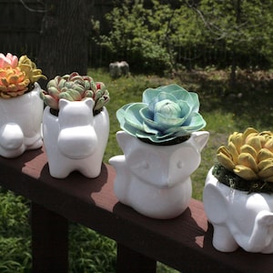 May include: Four white ceramic animal planters, each holding a different succulent. The planters are shaped like a hippo, fox, elephant, and a turtle. The succulents are various colors, including green, pink, and yellow.