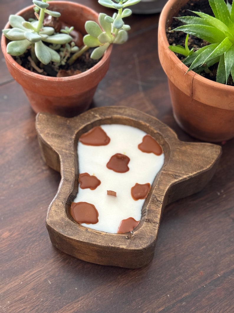 Peut inclure: Un bougeoir en bois en forme de t&ecirc;te de vache, rempli de cire blanche et de taches de vache marron. La bougie a une m&egrave;che en bois. Deux petites plantes succulentes en pot sont en arri&egrave;re-plan.