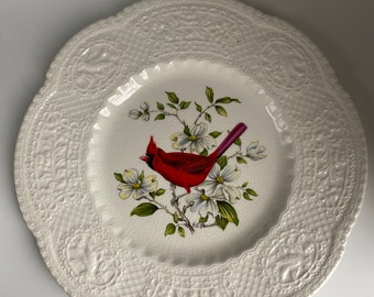 Royal Cauldon Bristol Cardinal Pattern Decorative  Plate, 9”, Made in England, Read Description
