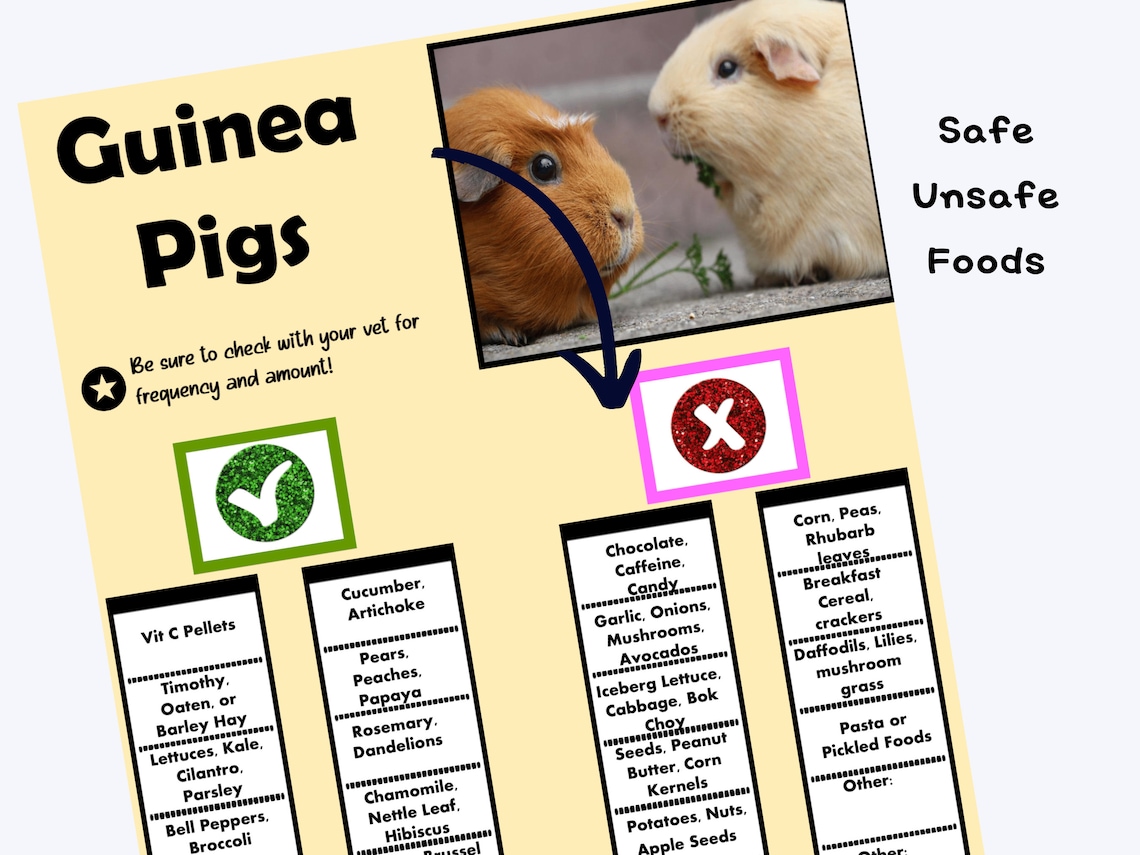 Guinea Pig Planner/ Guinea Pig Unsafe and Safe Food List/ - Etsy - Guinea Pig Safe Apple And Peanuts Combinations