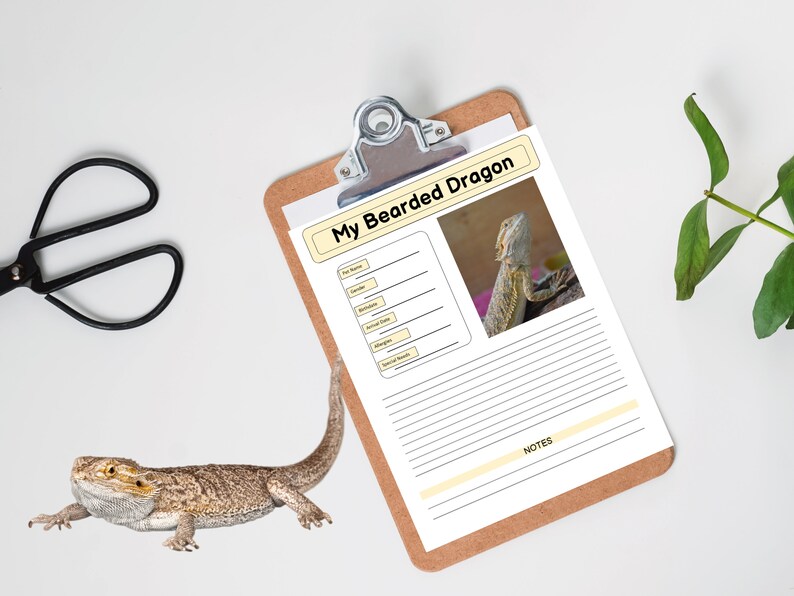 May include: A printable checklist for keeping track of bearded dragon care. The checklist includes sections for pet name, species, date of birth, and more. A photo of a bearded dragon is included in the top right corner. The checklist is on a clipboard with a brown wooden frame.