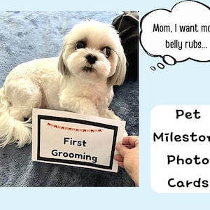 New Puppy Milestone Cards/ Printable Photo Pages/ Record all of your Puppy's Firsts!