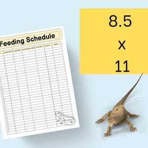 May include: A printable feeding schedule for a bearded dragon, with columns for date, insect, plant, supplement, fruit, vegetable, water, and notes. The schedule is designed for 30 days. A cartoon bearded dragon is in the bottom right corner of the page.