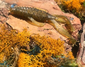 2PK IAMBAITS: THE BUG