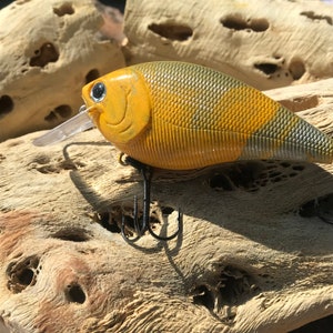 Iambaits: Swirl Custom Painted Crankbait