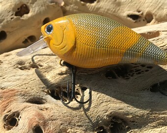 Iambaits: Swirl Custom Painted Crankbait
