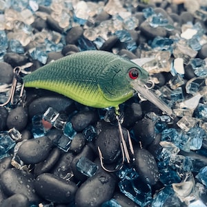IAMBAITS: Money Custom Painted Crankbait