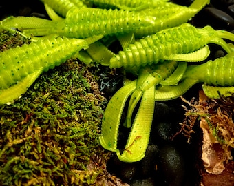 IAMBAITS: beetle juice