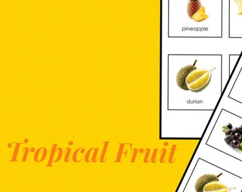 Tropical Fruit Three Part Cards: Montessori Vocabulary (Digital Download)