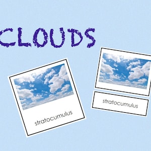 Types of Clouds  • Three Part Cards • Montessori • Flash Cards • Digital Montessori • Printable • Nomenclature • Vocabulary