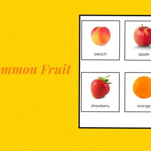 Frutto comune • Carte in tre parti • Montessori • Schede flash • Montessori digitale • Stampabile • Nomenclatura • Vocabolario