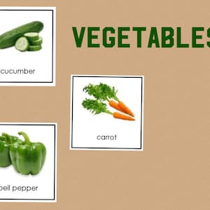 Vegetables • Three Part Cards • Montessori • Flash Cards • Digital Montessori • Printable • Nomenclature • Vocabulary