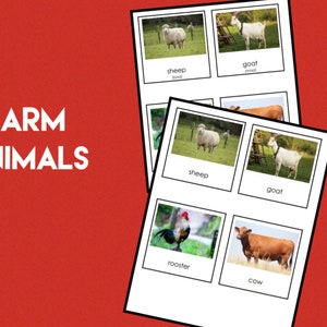 Farm Animals • Three Part Cards • Montessori • Flash Cards • Digital Montessori • Printable • Nomenclature •  Vocabulary • Animal Sounds
