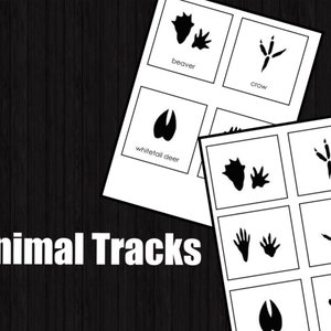 Animal Tracks • Three Part Cards • Montessori • Flash Cards • Digital Montessori • Printable • Nomenclature •  Vocabulary