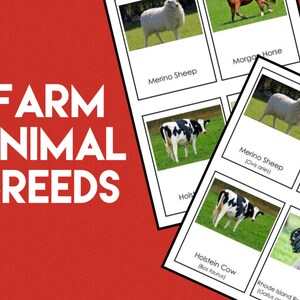 Farm Animal Breeds• Nomenclature Cards • Montessori • Flash Cards • Digital Montessori • Printable • Animals •Three Part Cards