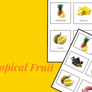Frutta tropicale • Carte in tre parti • Montessori • Schede flash • Montessori digitale • Stampabile • Nomenclatura • Vocabolario