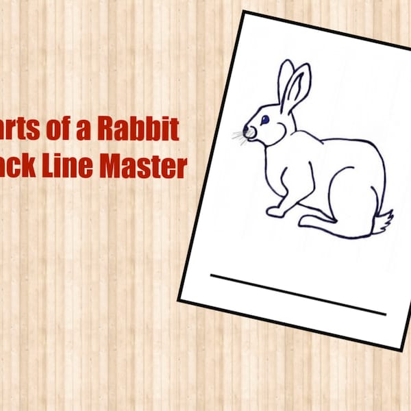 Parts of Rabbit Etsy