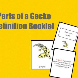 Teile eines Gecko Büchleins • Nomenklatur Karten • Montessori • Flash Cards • Digital Montessori • Printable • Dreiteilige Karten