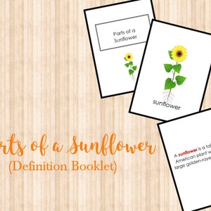 Parti di un opuscolo girasole • Carte nomenclatura • Montessori • Carte flash • Montessori digitale • Stampabile • Carte in tre parti
