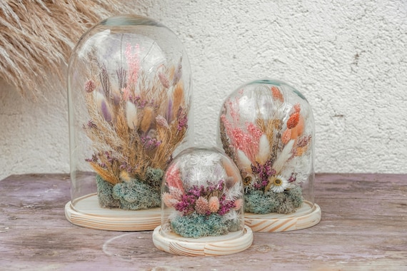 Dried Flowers Glass Dome Glass Bell Dried Flowers Home - Etsy
