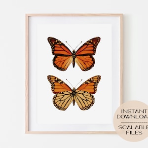 Vintage Monarch Butterfly Digital Poster Print, Wall Art Home Dorm Office Decor, drawing, illustration, animals, botanical, flowers, garden