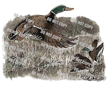 Vintage Duck png, Duck png, Mallard png, Duck Hunting png, Retro Duck png, Fall Duck png, Vintage Mallard png