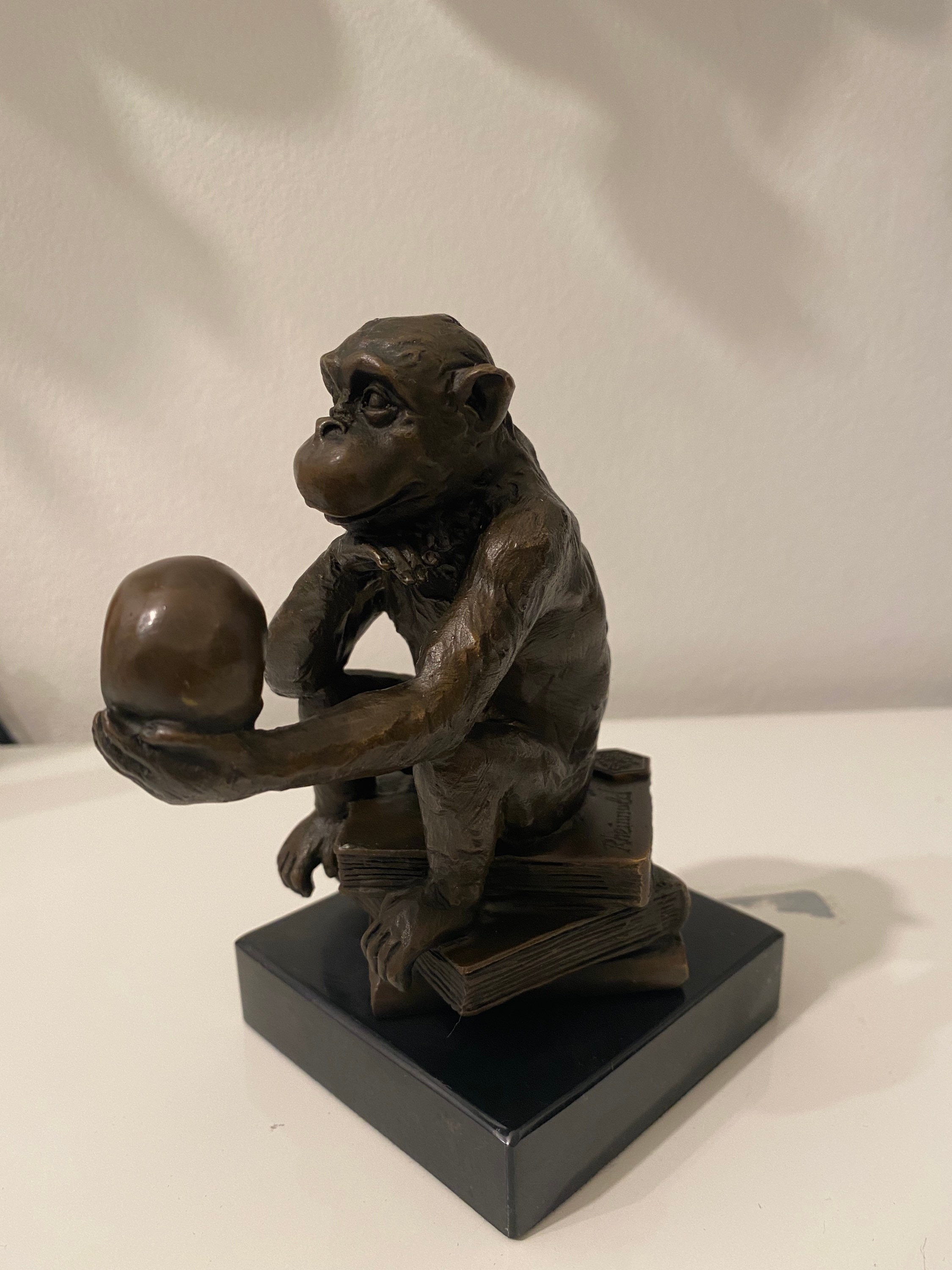 Darwin monkey skull - Etsy 日本