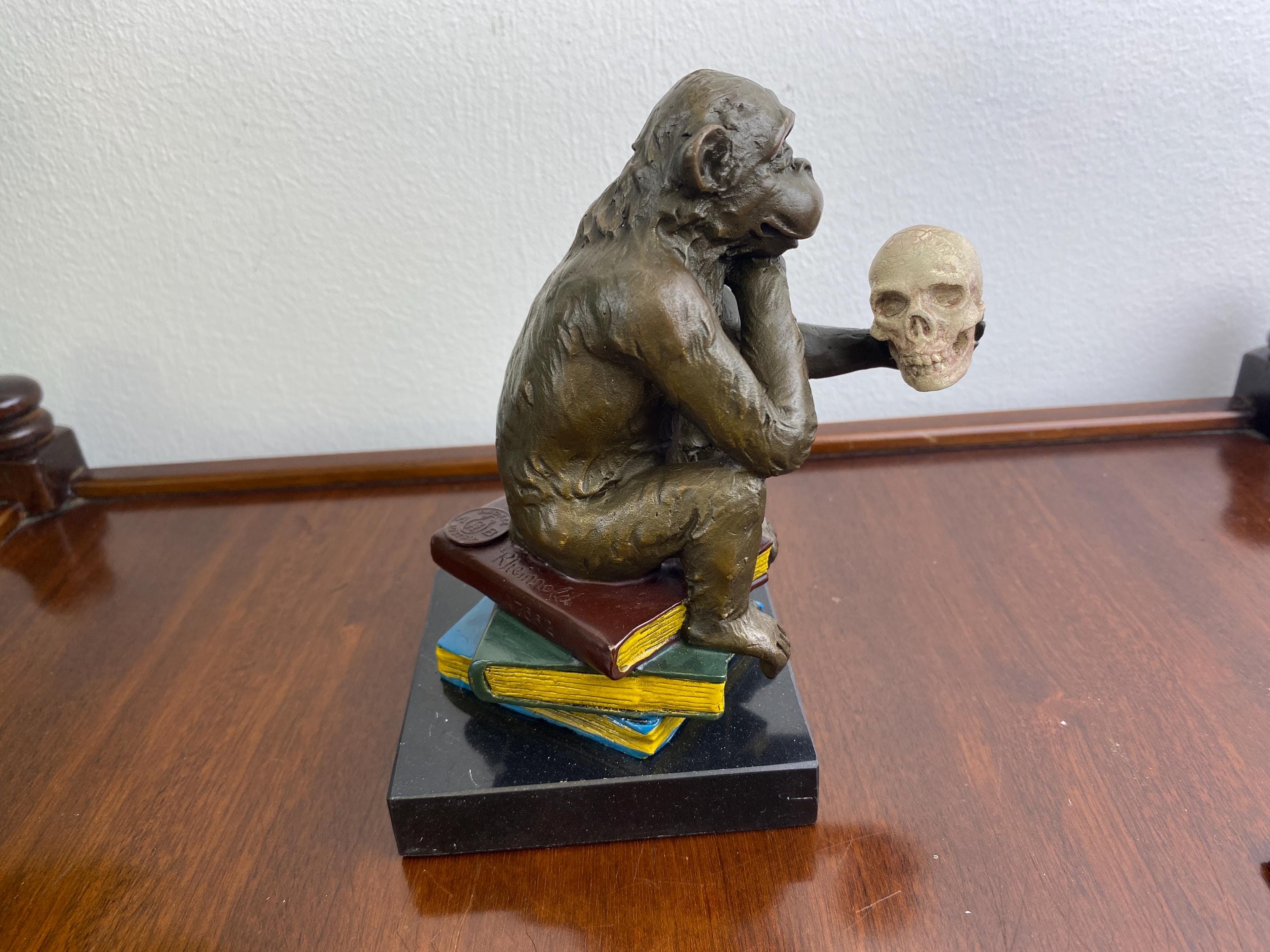 Darwin monkey skull - Etsy 日本