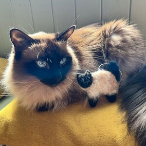 Nadel gefilzte Katze Dekoration: Personalisierbares Geschenk für Katzenliebhaber Bild 14