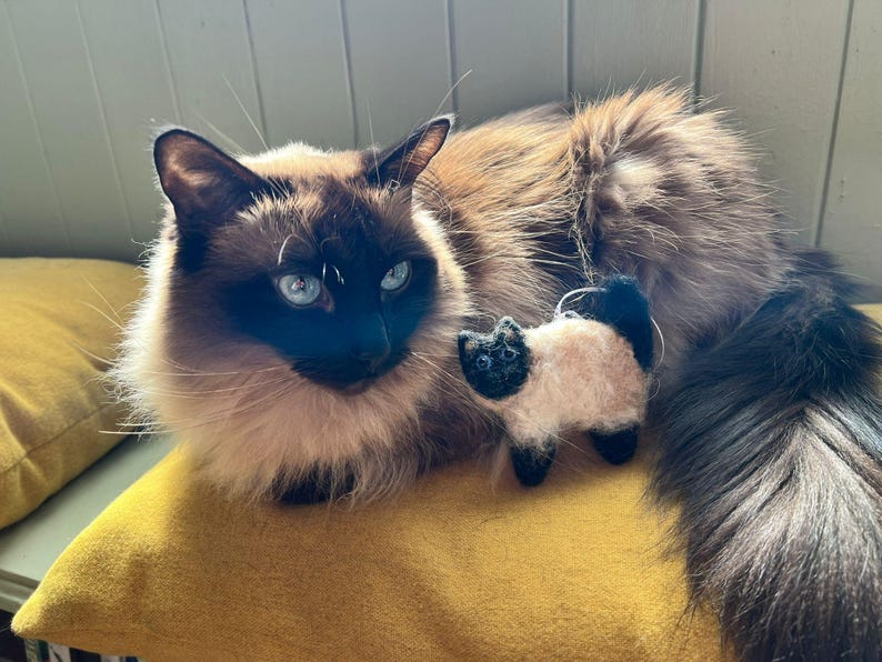 Nadel gefilzte Katze Dekoration: Personalisierbares Geschenk für Katzenliebhaber Bild 14