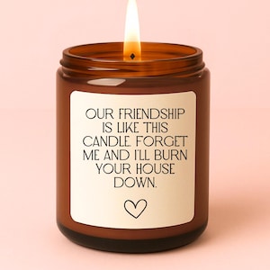 Our Friendship Is Like This Candle, Gift for Friend, Funny Gift, Best Friend Gift, Coworker Gift, Friendship Gift, Birthday Christmas Gift